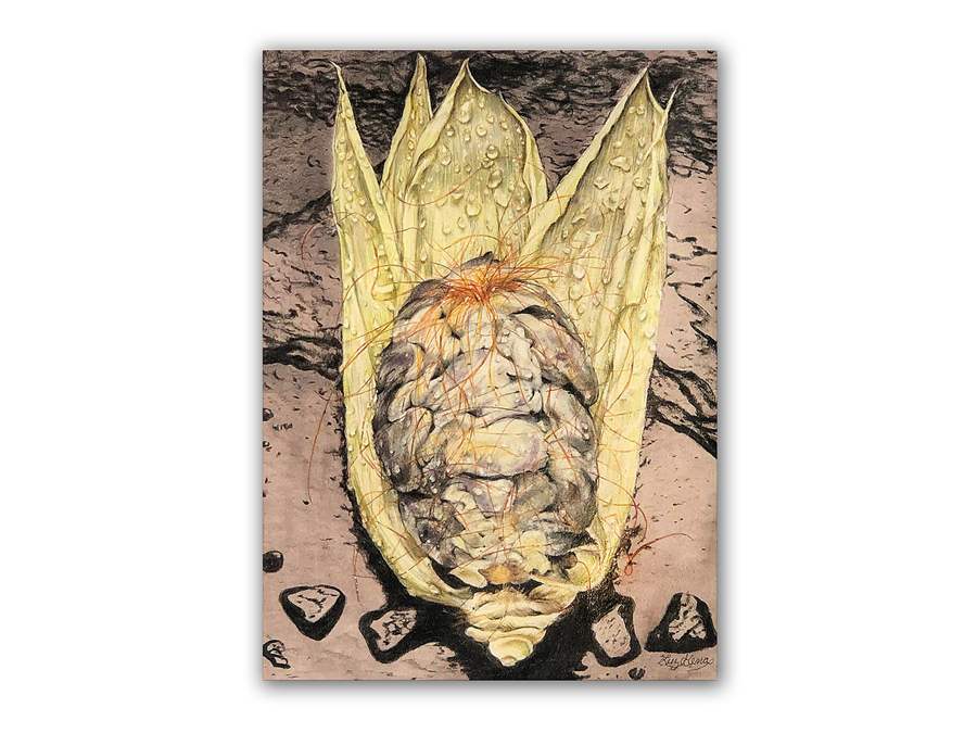 corn fungus visual artist series insomnia restaurant lounge toronto ontario