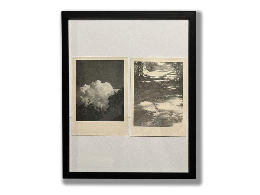 andy walker visual artist series photography insomnia restaurant lounge toronto bloor street