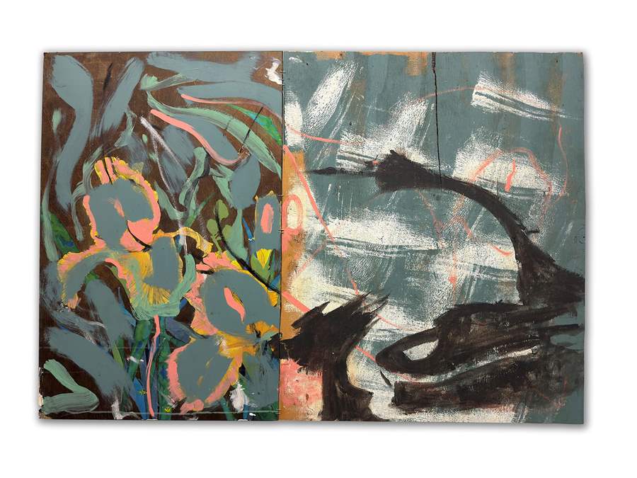 iris mountain colin stark insomnia